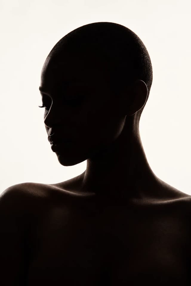 Pure Silhouette