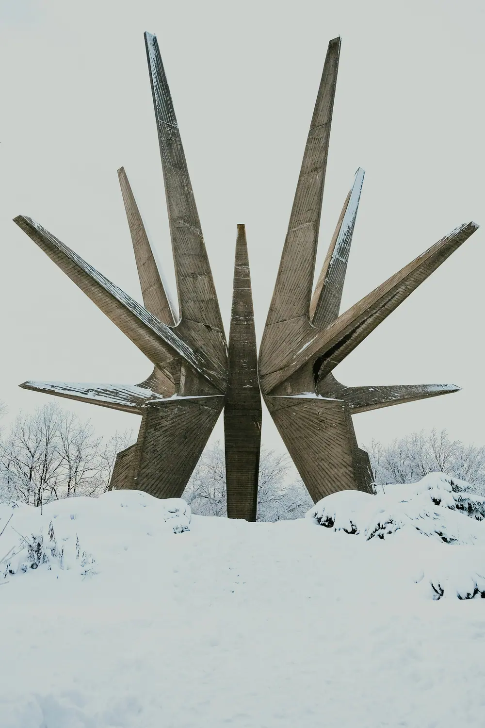 Photo by Nenad Radojčić