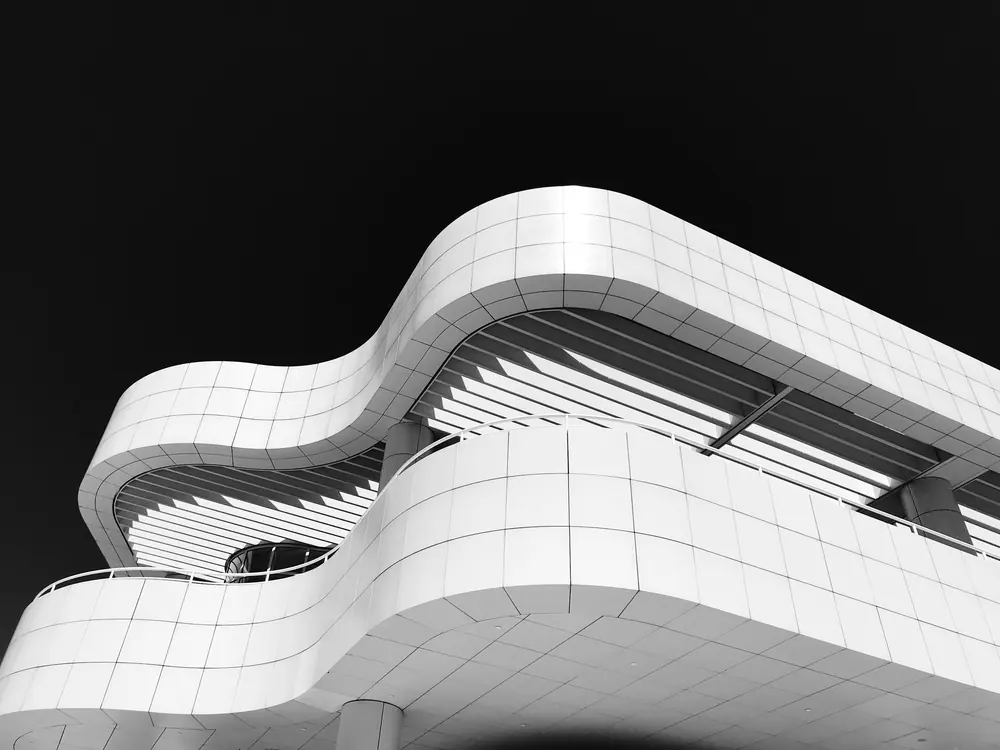 Photo by Damon Lam