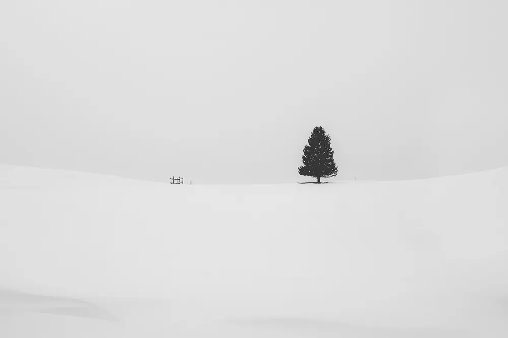 Photo by Cristina Gottardi