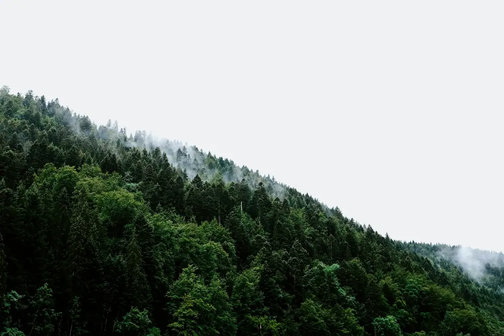 Photo by Adrien Olichon