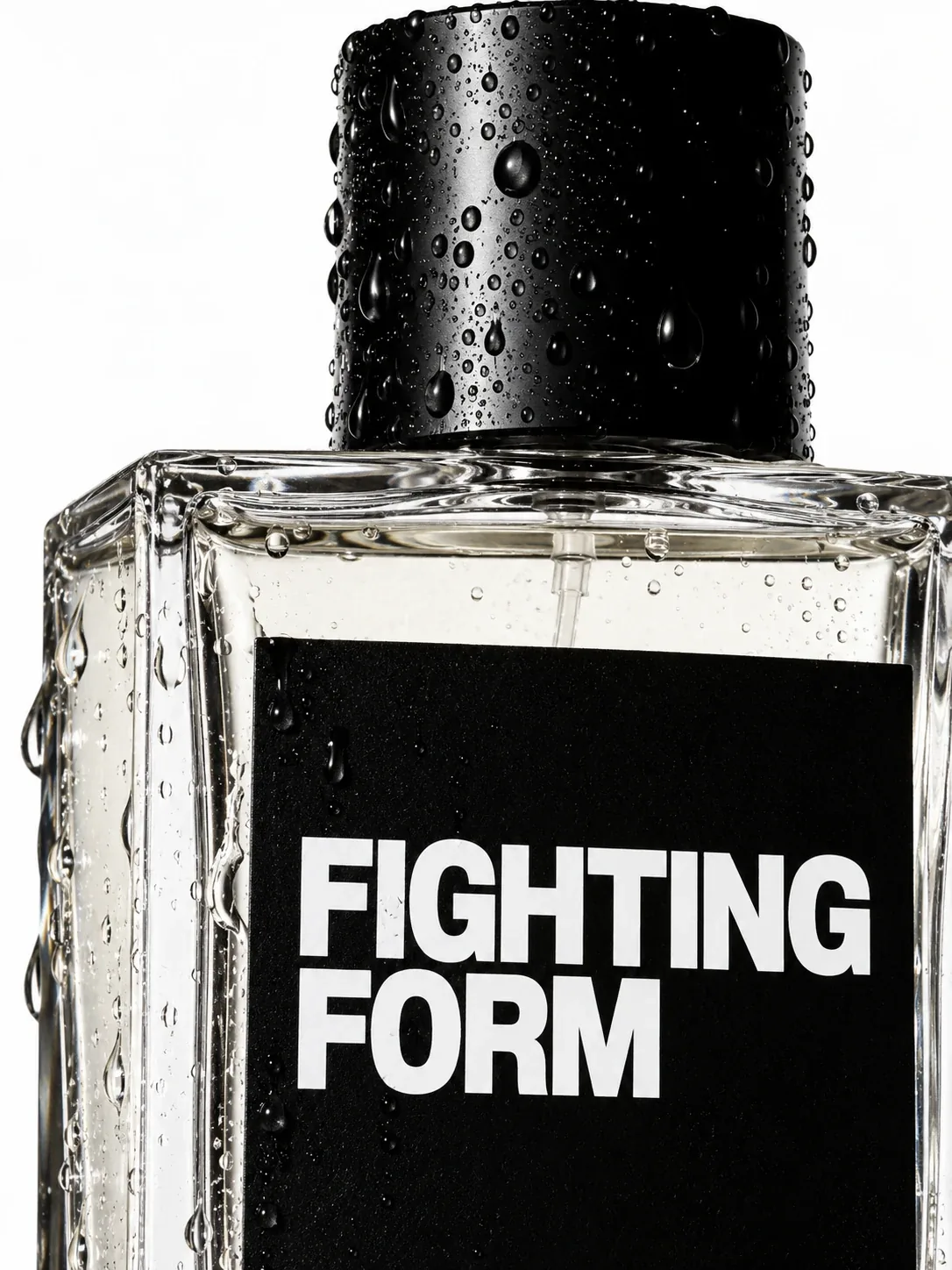 Fighting Form — zane.labs