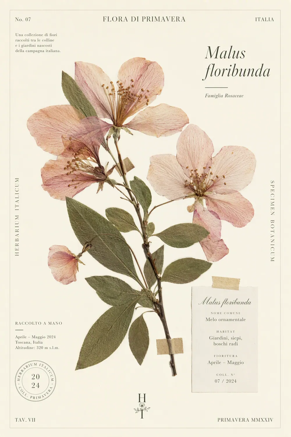 Botanical editorial — Botanical editorial