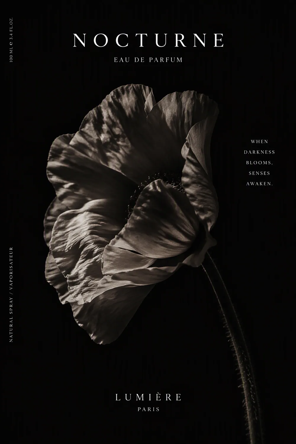 Dark editorial — Dark editorial