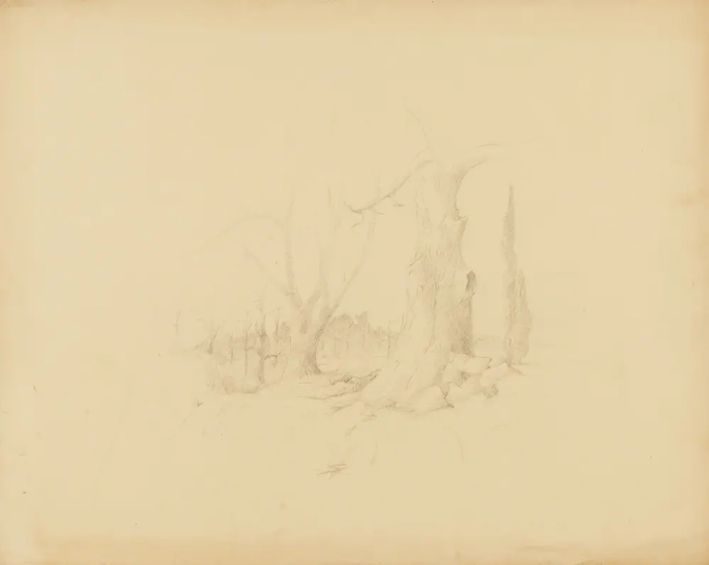 Landscape — Solon H. Borglum