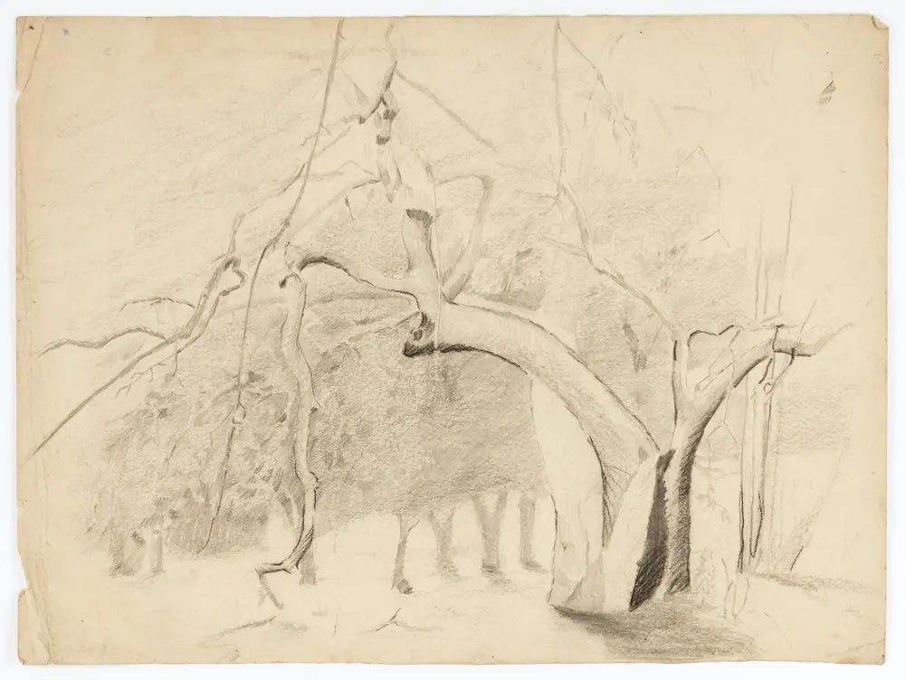 Landscape — Solon H. Borglum